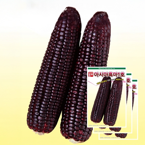 아시아종묘 채소씨앗 - 옥수수씨앗 흑마1호(30gx3)