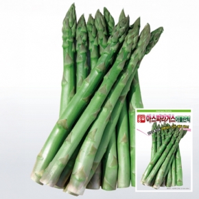 아스파라거스씨앗종자 아틀란틱(40립)