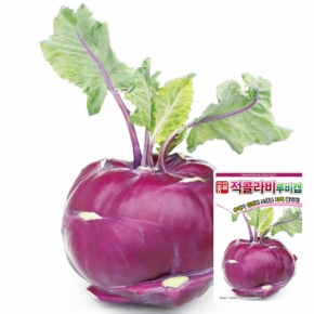 아시아종묘 콜라비씨앗종자 루비캡(2500립) 전문농가용