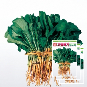 아시아종묘 채소씨앗 - 고들빼기(5000립x3) 향고채