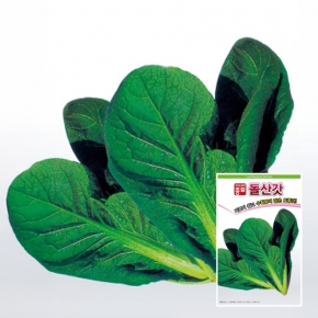 아시아종묘 갓씨앗종자 돌산갓(10g)