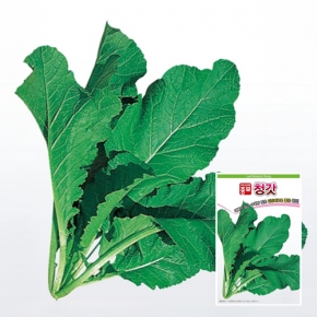 아시아종묘 갓씨앗종자 청갓(600g)