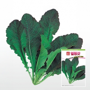 아시아종묘 갓씨앗종자 얼청갓(30g)