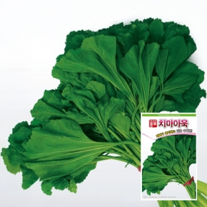 아시아종묘/아욱씨앗종자 치마아욱(400g)