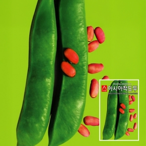 아시아종묘 콩씨앗종자 아시아적도두 작두콩(50g)