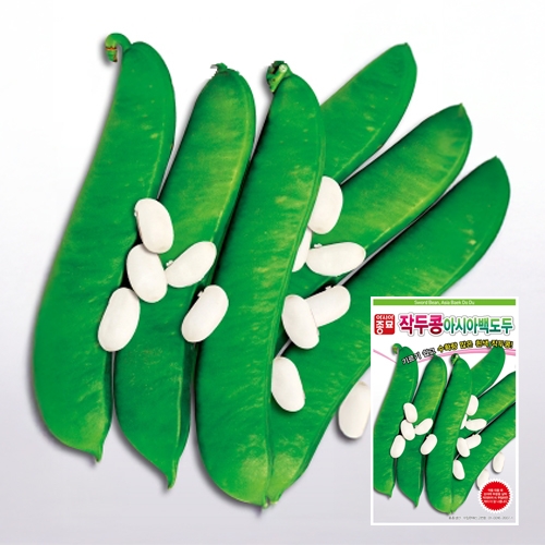 아시아종묘 콩씨앗종자 아시아백도두 작두콩(50g)