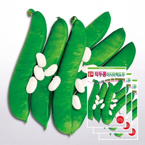 아시아종묘 콩씨앗종자 아시아백도두 작두콩(5립x3)