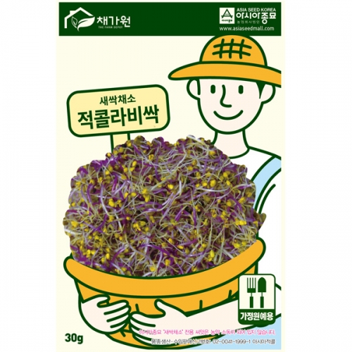 아시아종묘/새싹씨앗 적콜라비싹(30g) 새싹채소