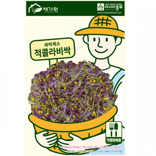 아시아종묘/새싹씨앗 적콜라비싹(1kg) 새싹채소