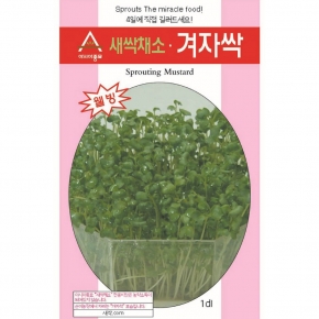 (아시아종묘/새싹씨앗) 겨자싹(30g) 새싹채소