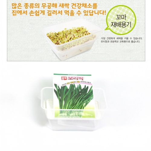 (아시아종묘/재배용기) 보리싹 꼬마재배용기세트(30gx5)-특가상품-