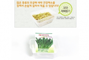 (아시아종묘/재배용기) 보리싹 꼬마재배용기세트(1kg)-특가상품-
