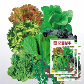 상추종자씨앗 모둠상추(1500립x3)