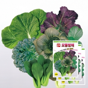 아시아종묘 채소씨앗 - 쌈씨앗 모둠쌈채(1500립x3)