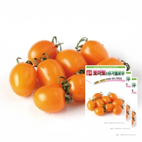 아시아종묘 방울토마토종자 신슈가옐로우(20립x3)