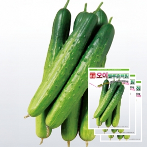 (오이씨앗종자) 젤루존백침 오이(30립x3)