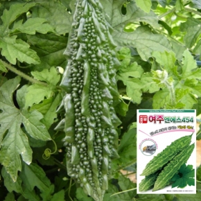 아시아종묘 여주씨앗종자 엔에스454(10립)