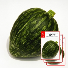 아시아종묘 관상용호박씨앗종자 달타령 호박(10립x3)