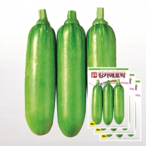 아시아종묘 호박씨앗종자 킹카애호박(30립x3)