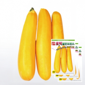 아시아종묘 호박씨앗종자 쥬키니씨앗 황금호박 황금주키니 골든프린스(30립x3)