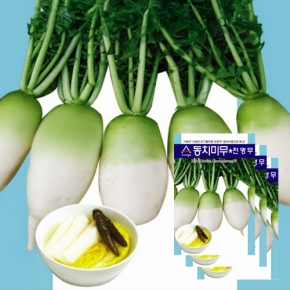 아시아종묘 무씨앗종자 동치미무 천명무(2000립x3)