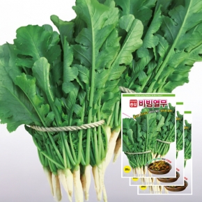 아시아종묘 열무씨앗종자 비빔열무(20gx3)