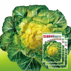 아시아종묘 배추씨앗종자 봄동배추-춘동102 (20gx3) 월동배추씨앗