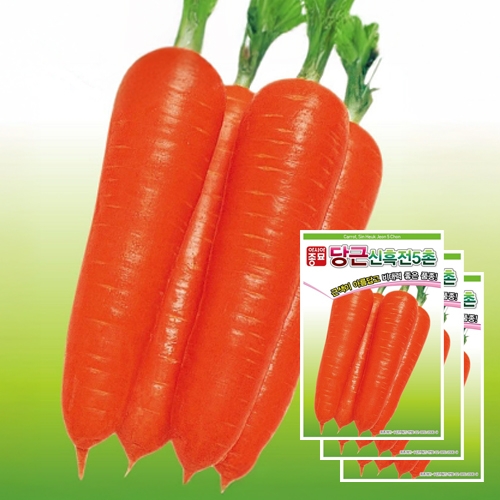 당근종자씨앗 신흑전5촌(4gx3)