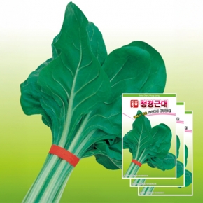 근대씨앗종자 청경근대(15gx3)