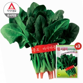 아시아종묘/시금치종자씨앗 아시아동초 시금치(20gx3) <월동시금치>