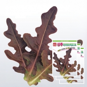 상추종자씨앗 적오크 상추(1500립x3)