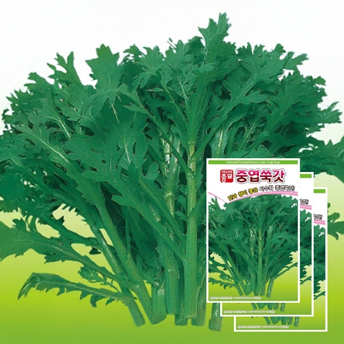 아시아종묘 쑥갓종자씨앗 아시아 중엽쑥갓(15gx3)