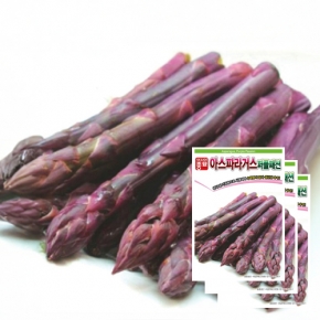 아시아종묘 아스파라거스씨앗종자 자색 퍼플패션(40립x3)