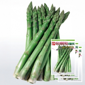 아스파라거스씨앗종자 아틀란틱(40립x3)