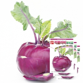 아시아종묘 콜라비씨앗종자 루비캡(100립x3) 전문농가용