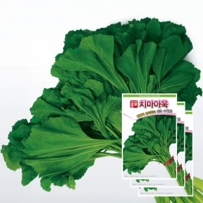 아시아종묘 채소씨앗 - 아욱씨앗 치마아욱(20gx3)