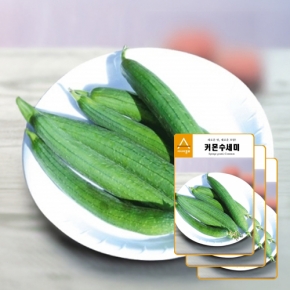 수세미종자씨앗 커몬수세미(30립x3)