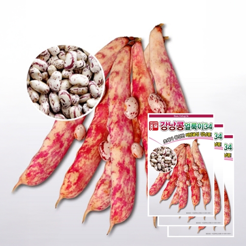 아시아종묘 콩씨앗종자 얼룩이34 강낭콩(30gx3)