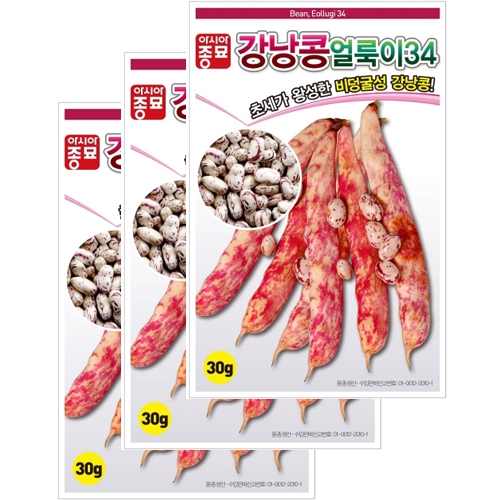 아시아종묘 채소씨앗 - 강낭콩씨앗 얼룩이34 강낭콩(30gx3)