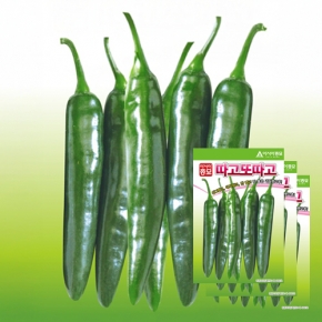 고추씨앗종자 따고또따고(30립x3)