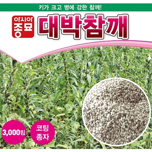 아시아종묘/참깨종자 대박참깨(3000립)코팅