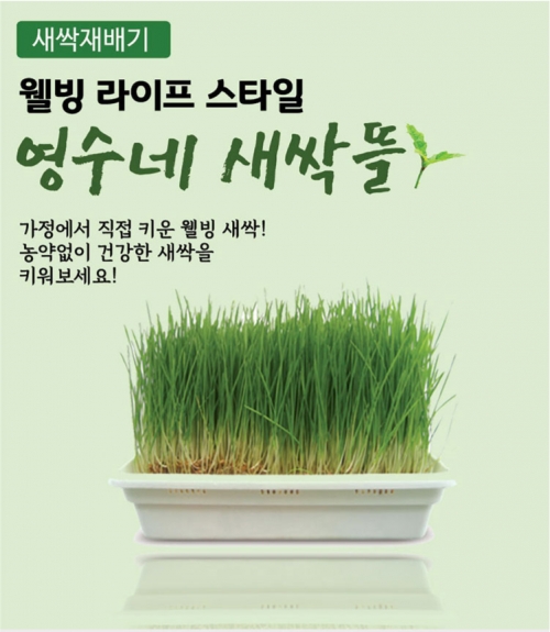 영수네 뜰 새싹재배기 (새싹재배,수경재배,보리순재배,어린보리재배,보리싹재배,밀순재배,밀싹재배,재배기) B16