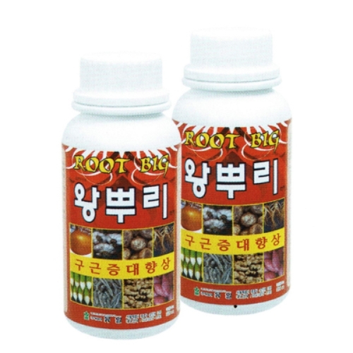 유일 왕뿌리(500ml) - 구근전문 비대제