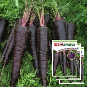 (자색당근종자씨앗) 아시아퍼플알파(500립x3)