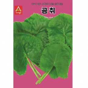 아시아종묘/곰취씨앗종자 곰취(100립,80g,400g)