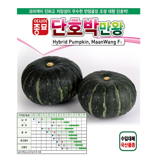 아시아종묘 단호박씨앗 만왕(400립)