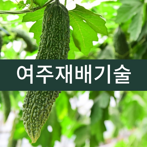 여주재배기술