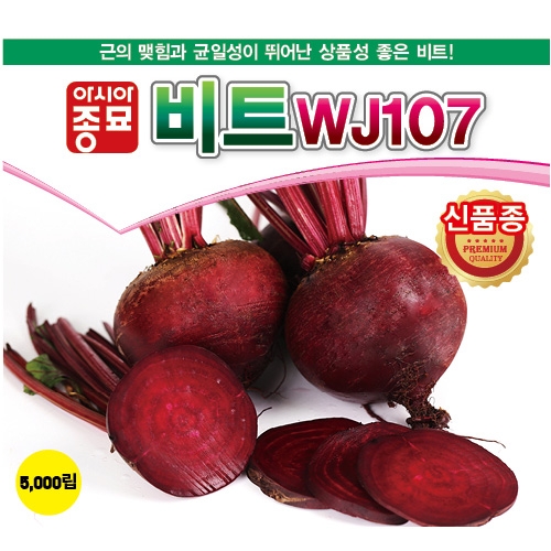 (비트종자씨앗) 비트WJ107(5000립)