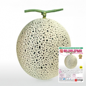 (아시아종묘/멜론씨앗종자) 허니머니PMR(100립)