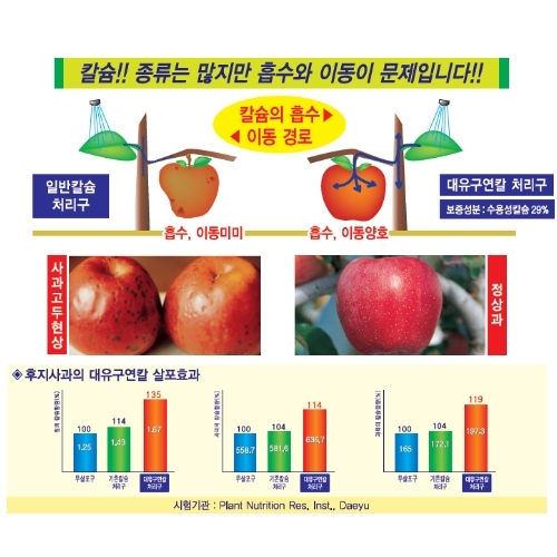 대유 구연칼 640g - 초고농도 구연산 킬레이트 칼슘제